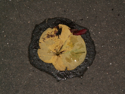 20061022 041305